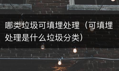 哪类垃圾可填埋处理（可填埋处理是什么垃圾分类）