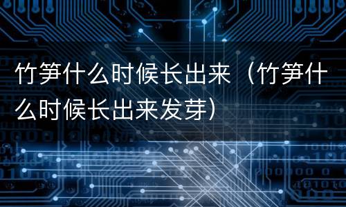 竹笋什么时候长出来（竹笋什么时候长出来发芽）