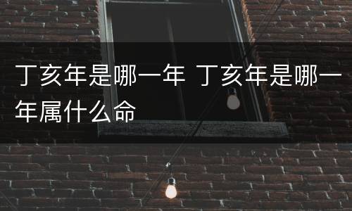 丁亥年是哪一年 丁亥年是哪一年属什么命