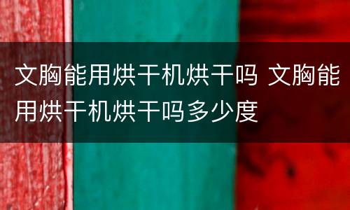 文胸能用烘干机烘干吗 文胸能用烘干机烘干吗多少度