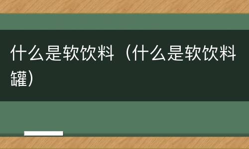 什么是软饮料（什么是软饮料罐）