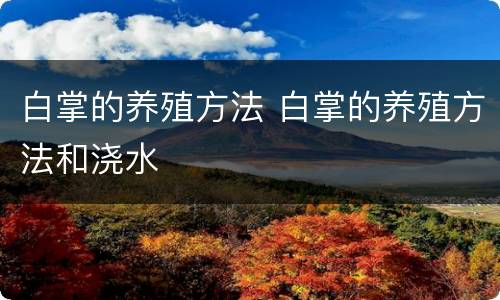 白掌的养殖方法 白掌的养殖方法和浇水