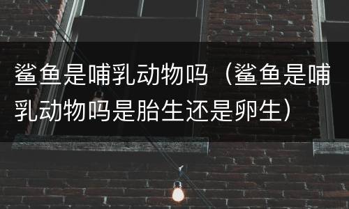 鲨鱼是哺乳动物吗（鲨鱼是哺乳动物吗是胎生还是卵生）