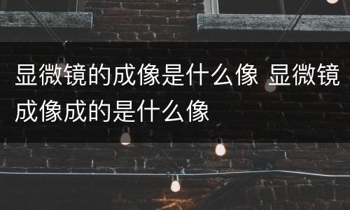 显微镜的成像是什么像 显微镜成像成的是什么像