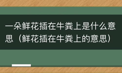 一朵鲜花插在牛粪上是什么意思（鲜花插在牛粪上的意思）