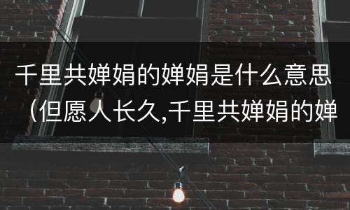 千里共婵娟的婵娟是什么意思（但愿人长久,千里共婵娟的婵娟是什么意思）