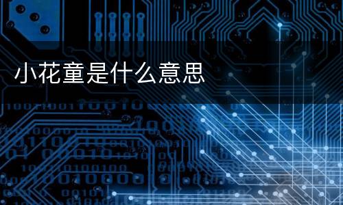 小花童是什么意思