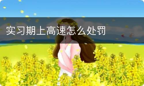 实习期上高速怎么处罚