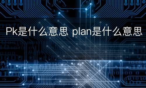 Pk是什么意思 plan是什么意思