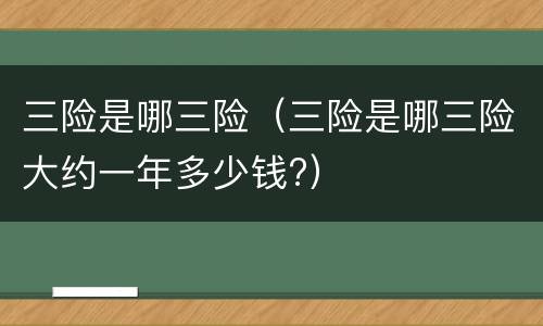 三险是哪三险（三险是哪三险大约一年多少钱?）