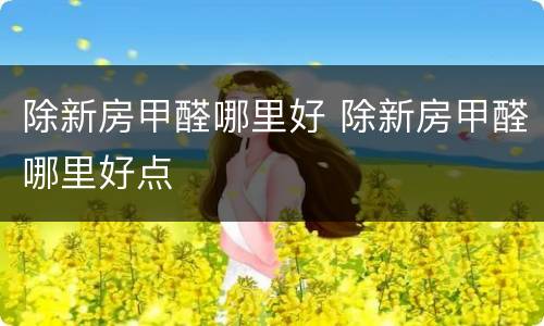 除新房甲醛哪里好 除新房甲醛哪里好点