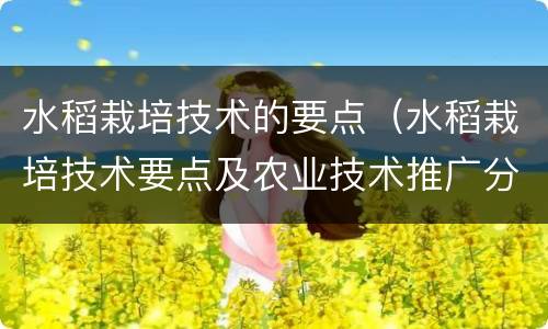 水稻栽培技术的要点(水稻栽培技术要点及农业技术推广分析)