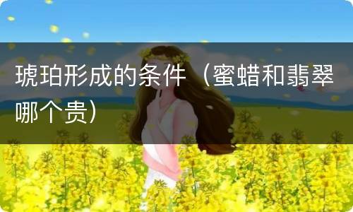 琥珀形成的条件（蜜蜡和翡翠哪个贵）