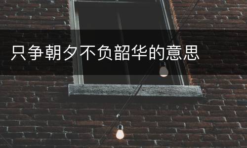 只争朝夕不负韶华的意思