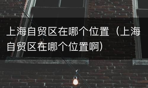 上海自贸区在哪个位置（上海自贸区在哪个位置啊）