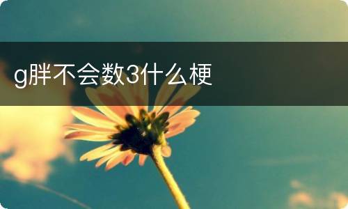 g胖不会数3什么梗