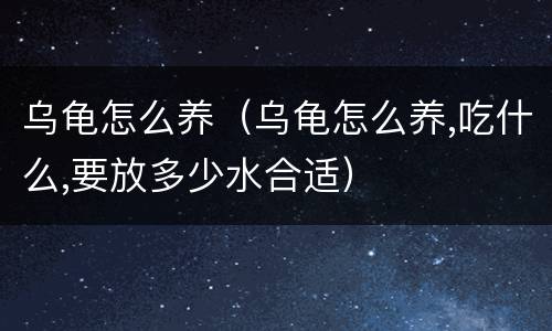 乌龟怎么养（乌龟怎么养,吃什么,要放多少水合适）