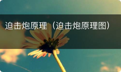 迫击炮原理（迫击炮原理图）