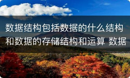 数据结构包括数据的什么结构和数据的存储结构和运算 数据结构包括什么