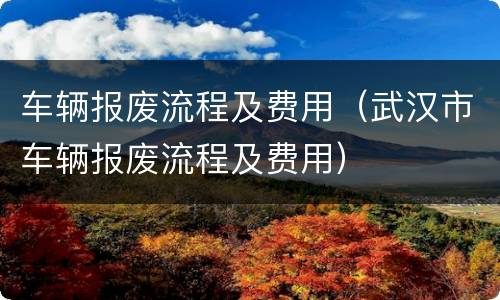 车辆报废流程及费用（武汉市车辆报废流程及费用）