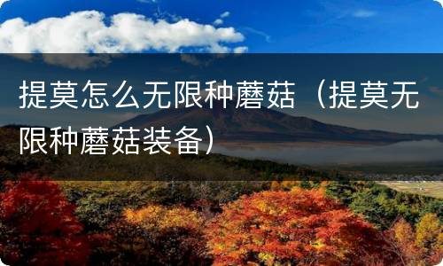 提莫怎么无限种蘑菇（提莫无限种蘑菇装备）