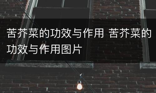 苦芥菜的功效与作用 苦芥菜的功效与作用图片