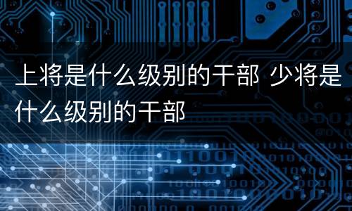 上将是什么级别的干部 少将是什么级别的干部