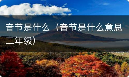 音节是什么（音节是什么意思二年级）