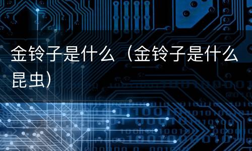 金铃子是什么（金铃子是什么昆虫）