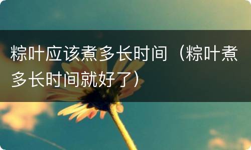 粽叶应该煮多长时间（粽叶煮多长时间就好了）