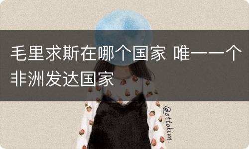 毛里求斯在哪个国家 唯一一个非洲发达国家