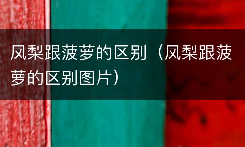 凤梨跟菠萝的区别（凤梨跟菠萝的区别图片）