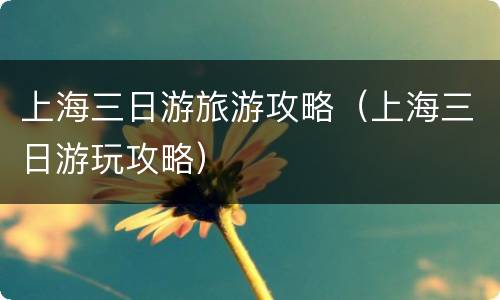 上海三日游旅游攻略（上海三日游玩攻略）
