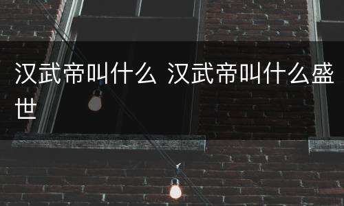 汉武帝叫什么 汉武帝叫什么盛世