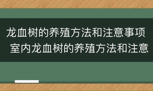 龙血树的养殖方法和注意事项 室内龙血树的养殖方法和注意事项