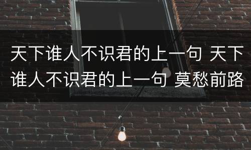 天下谁人不识君的上一句 天下谁人不识君的上一句 莫愁前路无知己意思