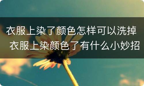 衣服上染了颜色怎样可以洗掉 衣服上染颜色了有什么小妙招吗