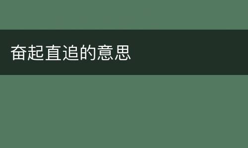 奋起直追的意思