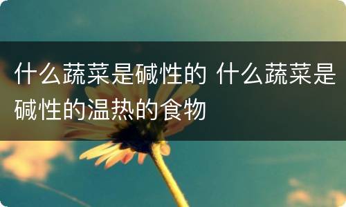 什么蔬菜是碱性的 什么蔬菜是碱性的温热的食物