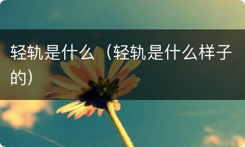 轻轨是什么（轻轨是什么样子的）