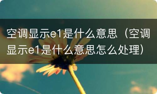 空调显示e1是什么意思（空调显示e1是什么意思怎么处理）