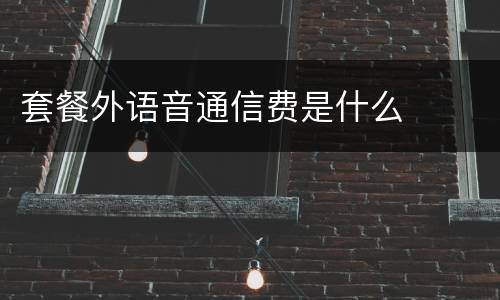套餐外语音通信费是什么