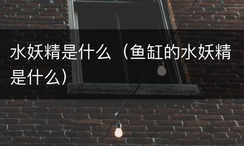 水妖精是什么（鱼缸的水妖精是什么）