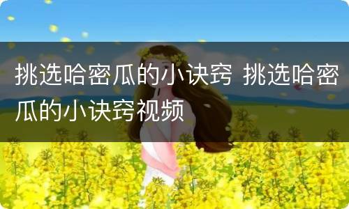 挑选哈密瓜的小诀窍 挑选哈密瓜的小诀窍视频