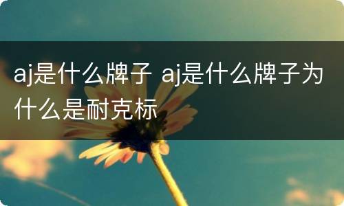 aj是什么牌子 aj是什么牌子为什么是耐克标