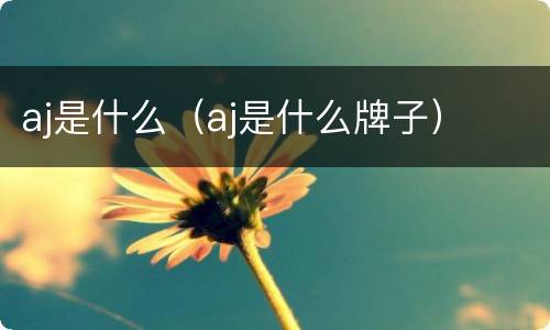 aj是什么（aj是什么牌子）