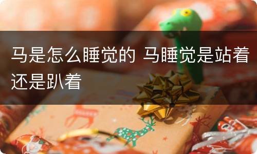 马是怎么睡觉的 马睡觉是站着还是趴着