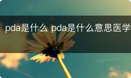 pda是什么 pda是什么意思医学