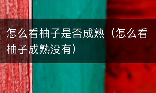 怎么看柚子是否成熟（怎么看柚子成熟没有）