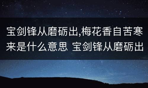 宝剑锋从磨砺出,梅花香自苦寒来是什么意思 宝剑锋从磨砺出,梅花香自苦寒来的含义